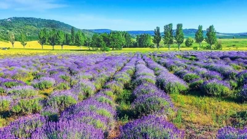Legkondicionalt, Erkelyes Szoba, Privat Fuerdovel A Balatonon Kőröshegy Exterior foto